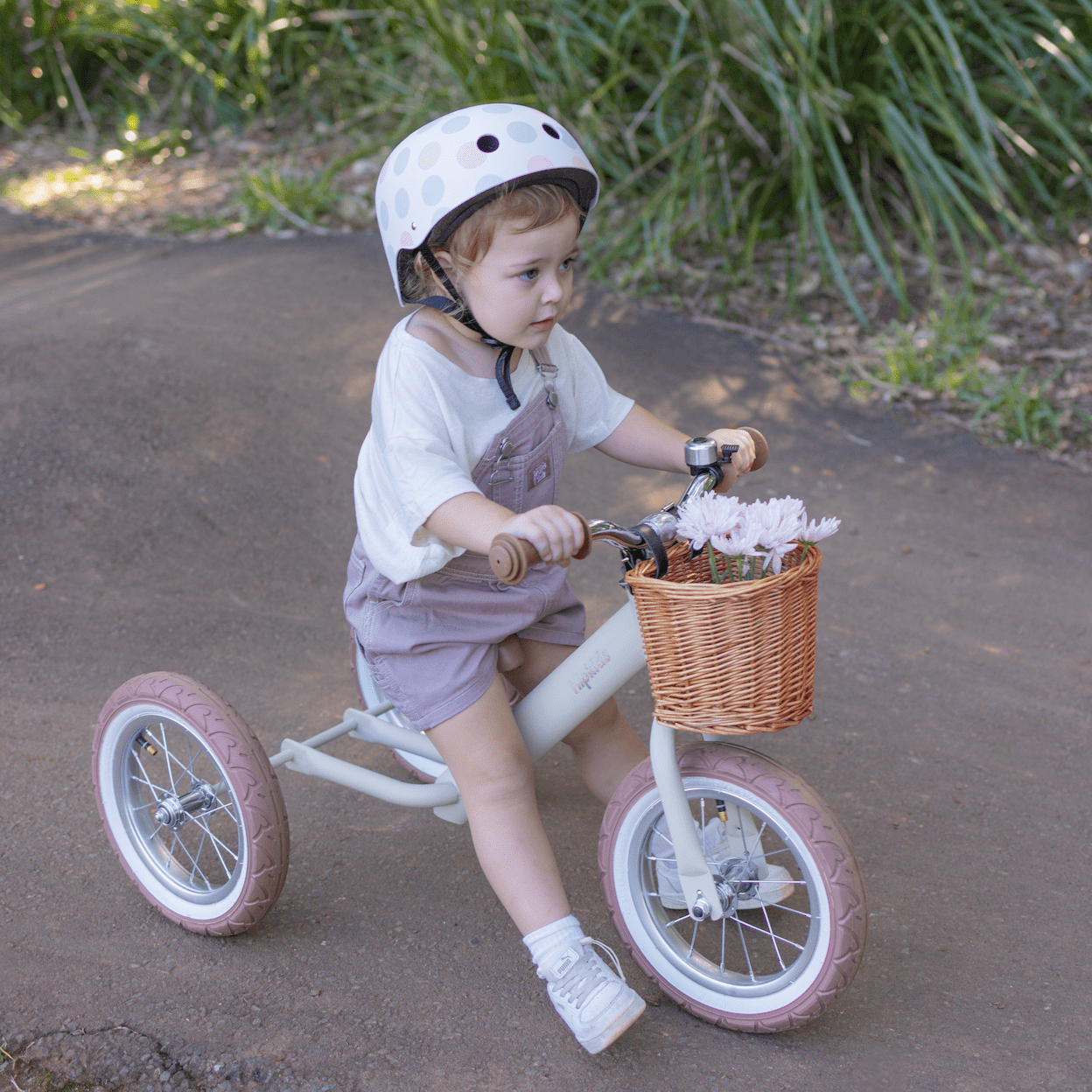 2 in 1 Steel Trike/Balance Bike (incl. wicker basket)