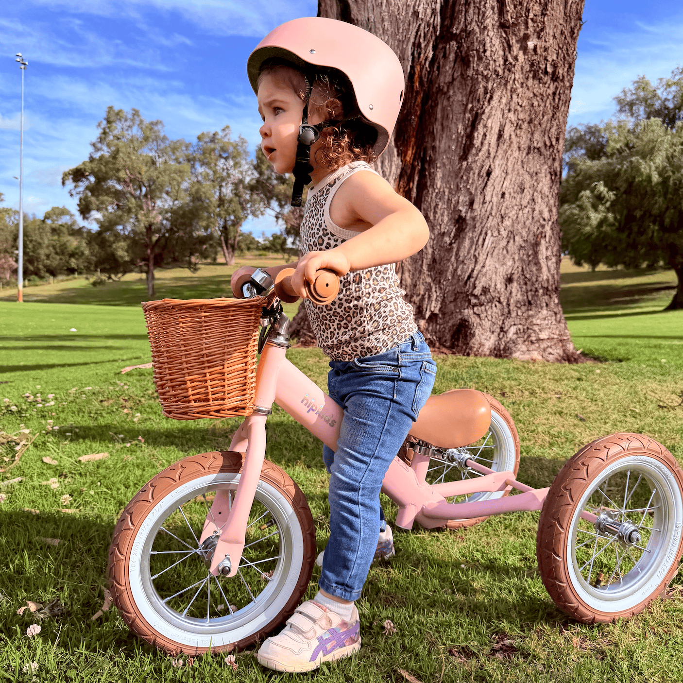 2 in 1 Steel Trike/Balance Bike (incl. wicker basket)