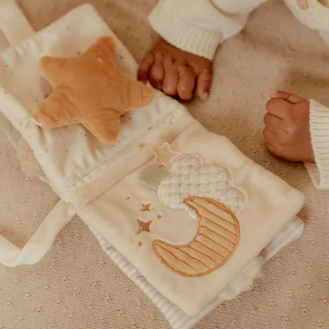 Goose Stroller Booklet