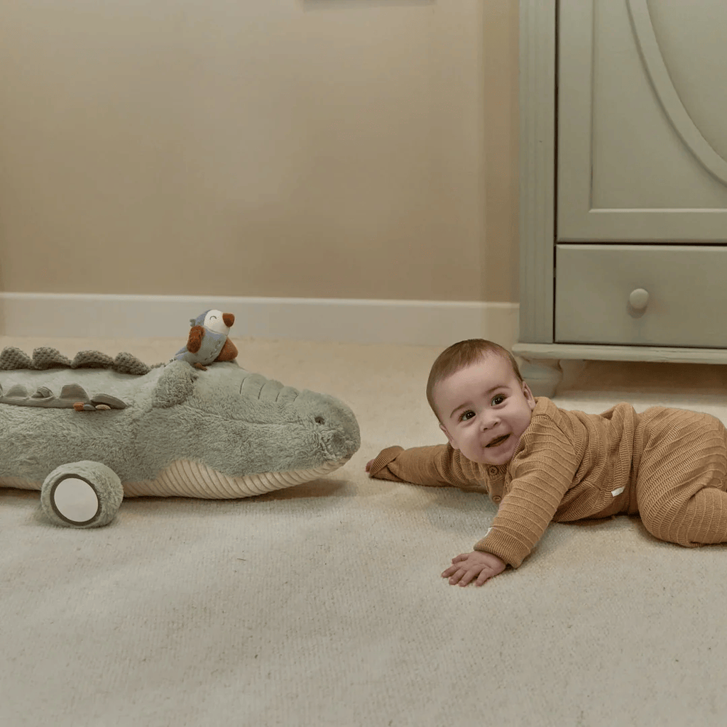 Activity Cuddle Crocodile