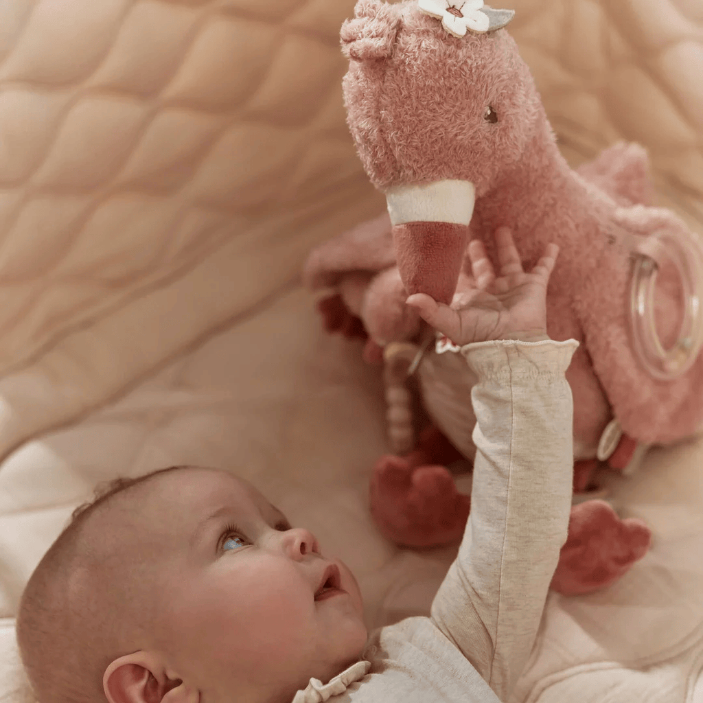 Activity Cuddle Flamingo