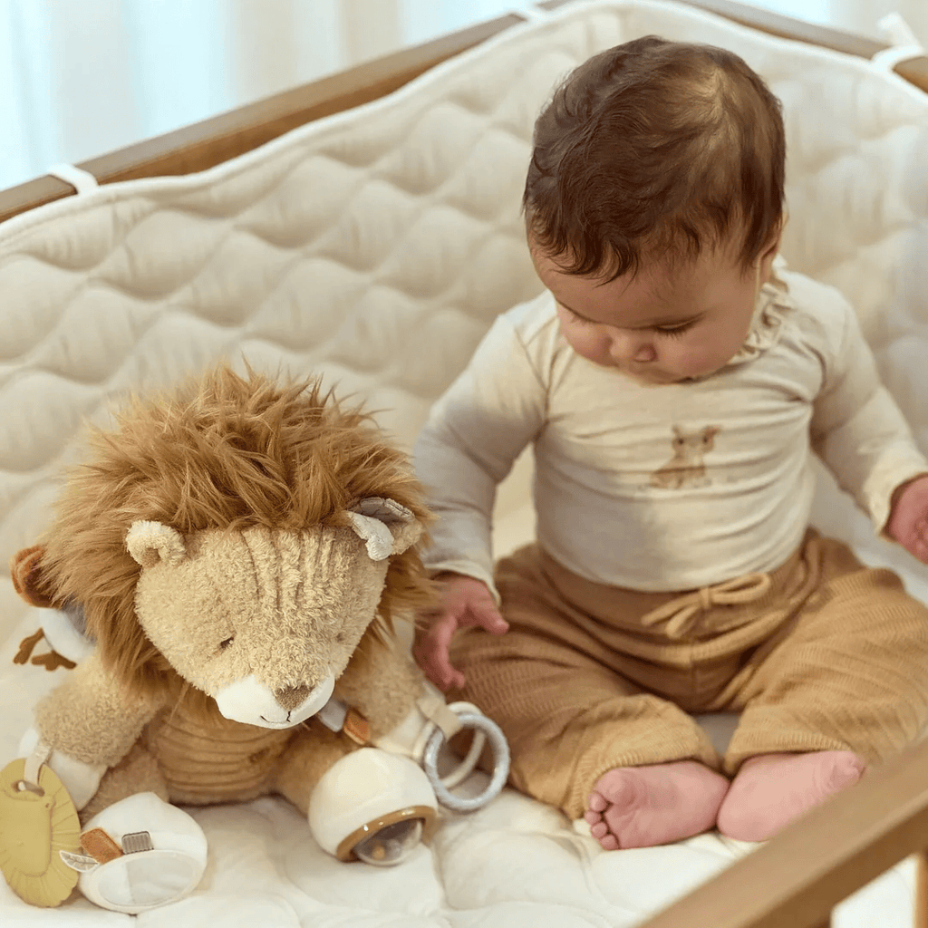 Activity Cuddle Lion
