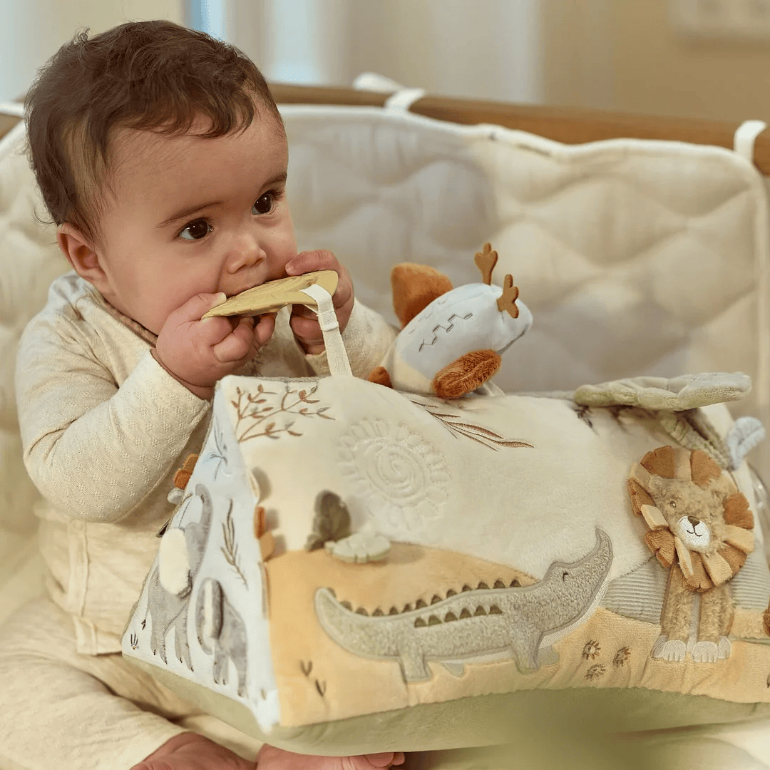 Safari Friends Activity Triangle