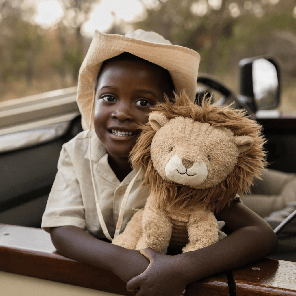 Cuddle Lion