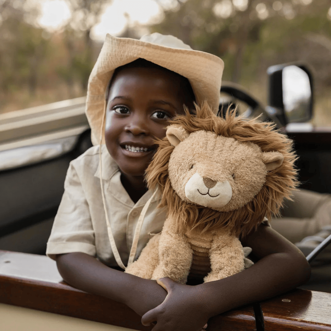 Cuddle Lion