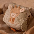 Soft Activity Cube